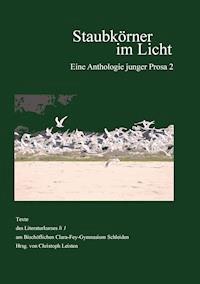 Staubkörner im Licht - - E-Book