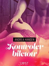 Kontroler biletów - opowiadanie erotyczne - Andrea Hansen - E-Book