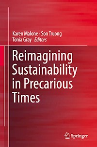 Reimagining Sustainability in Precarious Times -  - E-Book