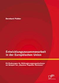 Entwicklungszusammenarbeit in der Europäischen Union: EU-Förderungen für Nichtregierungsorganisationen am Beispiel von „Nuestros Pequeños Hermanos“ - Bernhard Pichler - E-Book