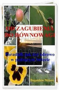 Od zagubienia do równowagi - Bogusław Sztorc - E-Book