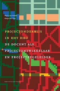 Projectonderwijs in het hbo - Maria van Holten - E-Book