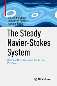 The Steady Navier-Stokes System - Mikhail Korobkov - E-Book