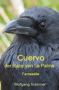 Cuervo – der Rabe von La Palma - Wolfgang Schirmer - E-Book
