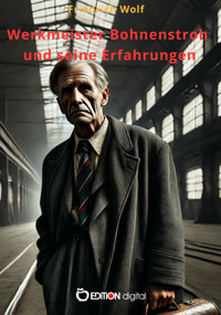 Werkmeister Bohnenstroh und seine Erfahrungen - Adam Scharrer - E-Book