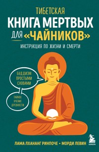 Тибетская Книга мертвых для "чайников". Инструкция по жизни и смерти - Морди Левин - E-Book