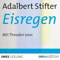 Eisregen - Adalbert  Stifter - Hörbuch