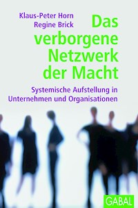 Das verborgene Netzwerk der Macht - Klaus-Peter Horn - E-Book