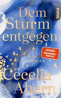 Dem Sturm entgegen - Cecelia Ahern - E-Book