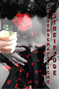 Leidenschaftliche Streifzüge - Ann Florence - E-Book