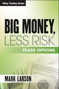Big Money, Less Risk - Mark Larson - E-Book