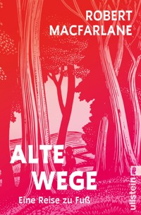 Alte Wege - Robert Macfarlane - E-Book