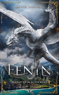 Fenin - Wähle dein Schicksal - Marcel Breidung - E-Book