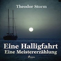 Eine Halligfahrt - Eine Meistererzählung (Ungekürzt) - Theodor Storm - Hörbuch