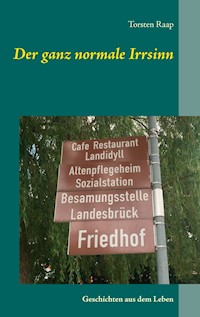 Der ganz normale Irrsinn - Torsten Raap - E-Book