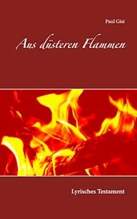 Aus düsteren Flammen - Paul Gisi - E-Book