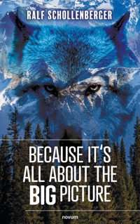Because it's all about the big picture - Ralf Schollenberger - E-Book