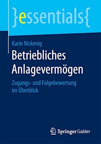 Betriebliches Anlagevermögen - Karin Nickenig - E-Book