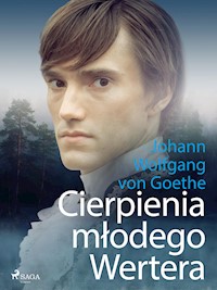 Cierpienia młodego Wertera - Johann Wolfgang von Goethe - E-Book