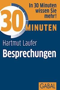30 Minuten Besprechungen - Hartmut Laufer - E-Book