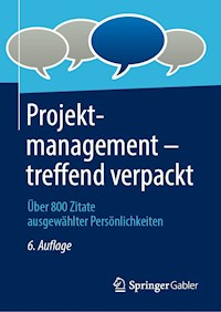Projektmanagement – treffend verpackt -  - E-Book
