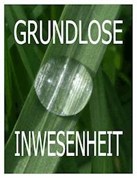 Grundlose Inwesenheit - Tom De Toys - E-Book