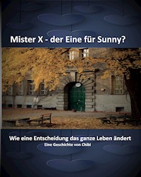 Mister X - der Eine für Sunny? - Chibi - E-Book