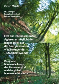 Erst das interdisziplinäre Agieren ermöglicht den klaren Blick auf die Energiewende + Wärmewende + Mobilitätswende - Dieter Mende - E-Book