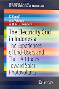 The Electricity Grid in Indonesia - K. Kunaifi - E-Book