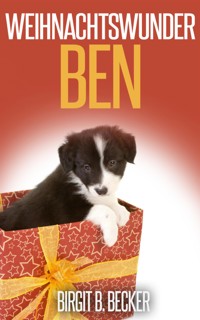 Weihnachtswunder Ben - Birgit B. Becker - E-Book