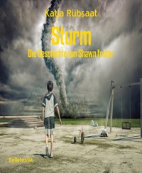 Sturm - Katja Rübsaat - E-Book