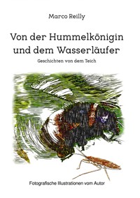 Von der Hummelkönigin und dem Wasserläufer - Marco Reilly - E-Book