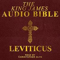 Leviticus - Christopher Glyn - Hörbuch