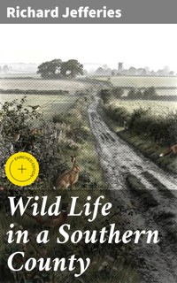 Wild Life in a Southern County - Richard Jefferies - E-Book