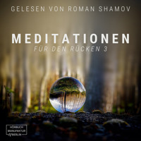 Meditationen für den Rücken 3 (ungekürzt) - Anna Scheinfrei - Hörbuch