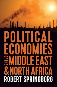 Political Economies of the Middle East and North Africa - Robert Springborg - E-Book