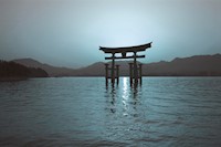 Das TAO Konzept - Norbert Meller - E-Book