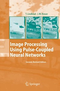 Image Processing Using Pulse-Coupled Neural Networks - Thomas Lindblad - E-Book