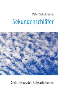 Sekundenschläfer - Peter Schuhmann - E-Book