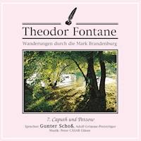 Wanderungen durch die Mark Brandenburg (07) - Theodor Fontane - Hörbuch