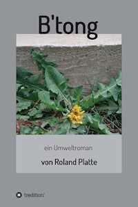 B'tong - Roland Platte - E-Book