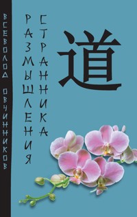 Размышления странника - Всеволод Овчинников - E-Book