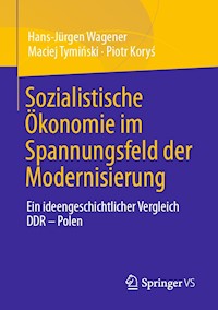 Sozialistische Ökonomie im Spannungsfeld der Modernisierung - Hans-Jürgen Wagener - E-Book