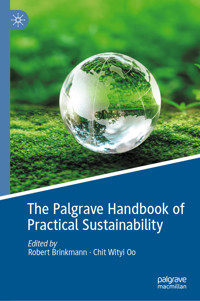 The Palgrave Handbook of Practical Sustainability -  - E-Book