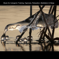 Blissful Sleep - BMP-Music - Hörbuch