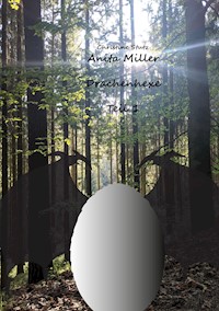 Anita Miller Drachenhexe - Christine Stutz - E-Book