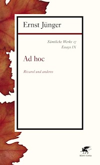 Sämtliche Werke - Band 17 - Ernst Jünger - E-Book