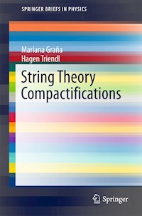 String Theory Compactifications - Mariana Graña - E-Book