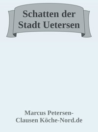 Schatten der Stadt – Die Jagd nach der Wahrheit - Marcus PC Petersen - Clausen - E-Book