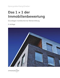 Das 1x1 der Immobilienbewertung - Sebastian Drießen - E-Book